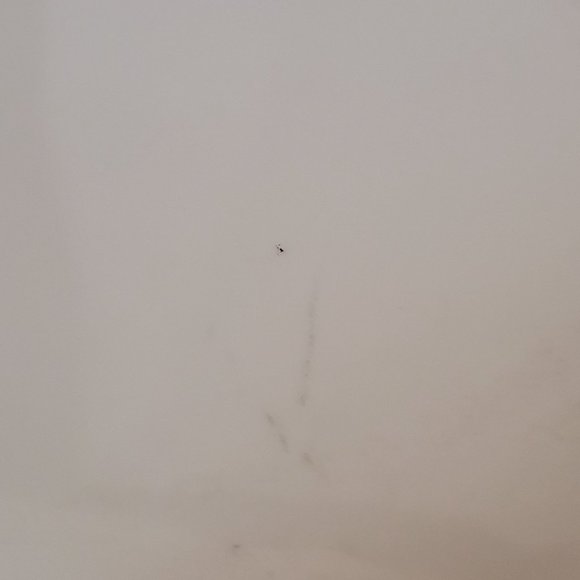 Vintage Corelle Crazy Daisy 10.25 Inch Dinner Plate Set of 2 Corning - Picture 5 of 9